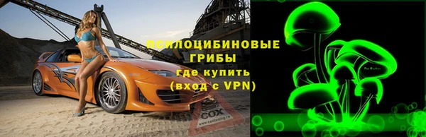 ПСИЛОЦИБИНОВЫЕ ГРИБЫ Абдулино